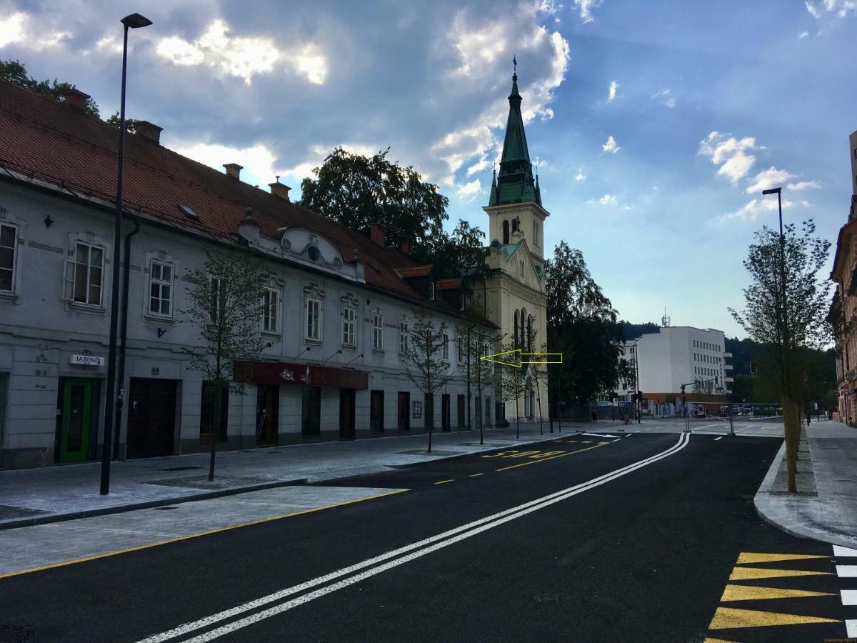 Apartment Optim Ljubljana Kültér fotó